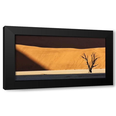 Namibia, Dead Vlei Dead tree illuminated by sun Black Modern Wood Framed Art Print by Kaveney, Wendy