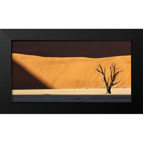 Namibia, Dead Vlei Dead tree illuminated by sun Black Modern Wood Framed Art Print by Kaveney, Wendy