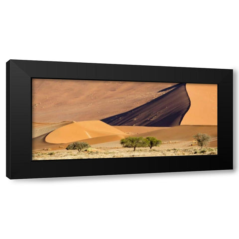 Namibia, Namib-Naukluft Park Sand dunes and tree Black Modern Wood Framed Art Print by Kaveney, Wendy