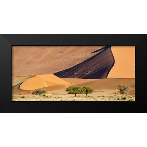 Namibia, Namib-Naukluft Park Sand dunes and tree Black Modern Wood Framed Art Print by Kaveney, Wendy