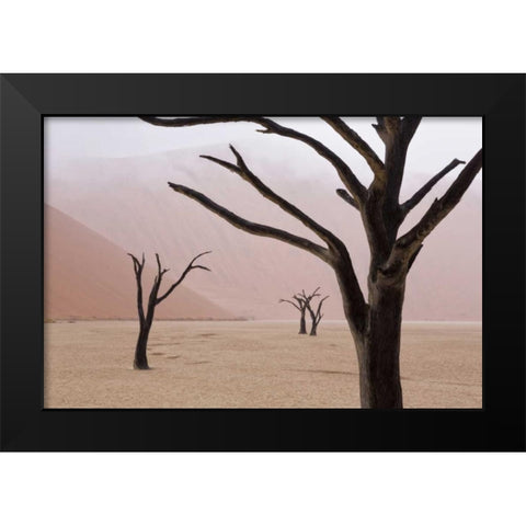 Namibia, Namib-Naukluft, Deadvlei Misty Morning Black Modern Wood Framed Art Print by Kaveney, Wendy