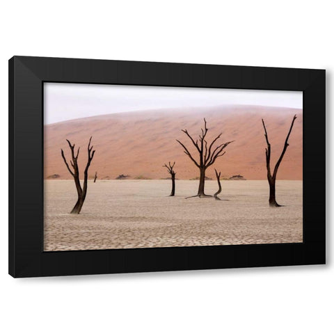 Namibia, Namib-Naukluft, Deadvlei Misty Morning Black Modern Wood Framed Art Print with Double Matting by Kaveney, Wendy