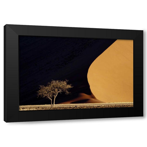 Namibia, Namib-Naukluft Park Red sand dunes Black Modern Wood Framed Art Print by Kaveney, Wendy