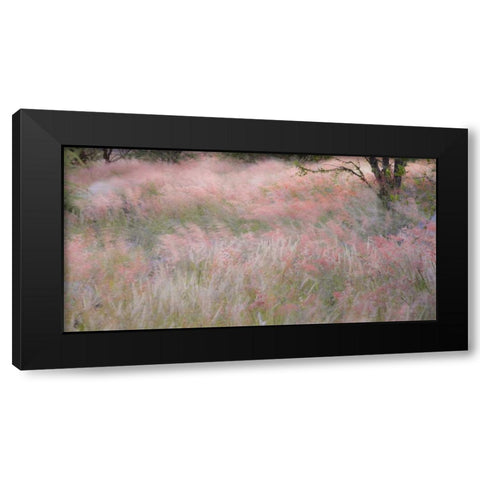 Namibia, Etosha NP Grasses moving in the wind Black Modern Wood Framed Art Print with Double Matting by Young, Bill