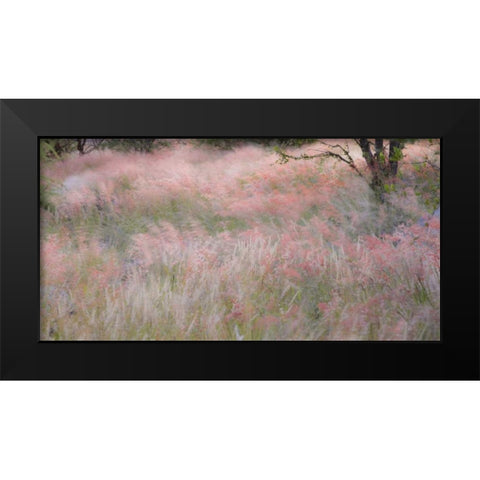 Namibia, Etosha NP Grasses moving in the wind Black Modern Wood Framed Art Print by Young, Bill