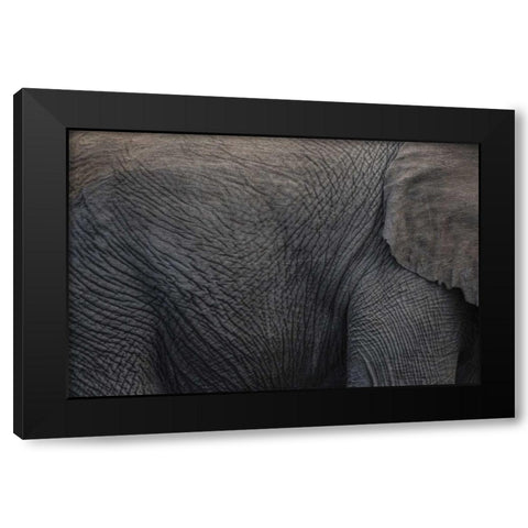 Namibia, Etosha NP Textured hide of elephant Black Modern Wood Framed Art Print by Young, Bill