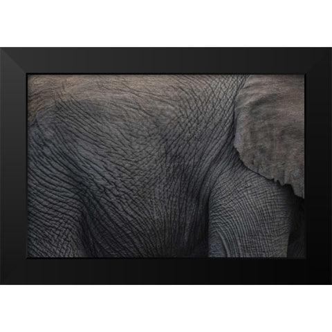 Namibia, Etosha NP Textured hide of elephant Black Modern Wood Framed Art Print by Young, Bill
