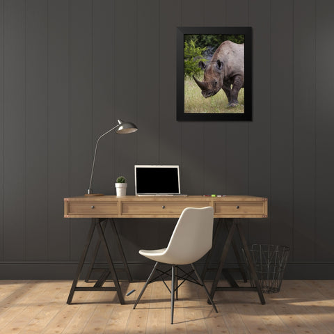 Namibia, Etosha NP Rhinoceros grazing on grass Black Modern Wood Framed Art Print by Young, Bill