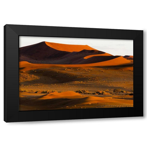 Namibia, Namib-Naukluft NP Abstract of sand dune Black Modern Wood Framed Art Print with Double Matting by Young, Bill