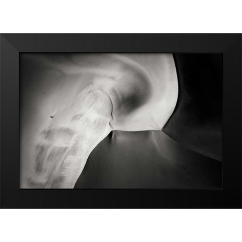Namibia, Namib-Naukluft NP Aerial of sand dunes Black Modern Wood Framed Art Print by Young, Bill