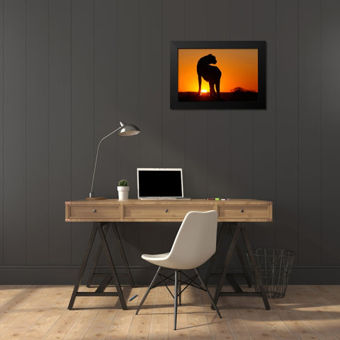 Namibia Cheetah silhouette at sunset Black Modern Wood Framed Art Print by Jaynes Gallery