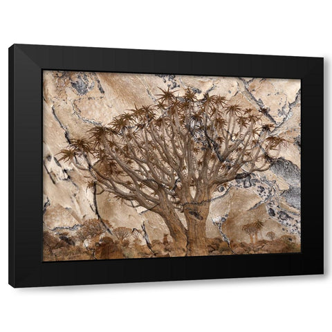 Africa-Namibia-Quiver tree and bark photo montage Black Modern Wood Framed Art Print by Jaynes Gallery