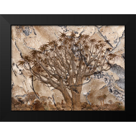 Africa-Namibia-Quiver tree and bark photo montage Black Modern Wood Framed Art Print by Jaynes Gallery