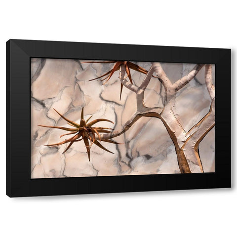Africa-Namibia-Quiver tree and bark photo montage Black Modern Wood Framed Art Print by Jaynes Gallery