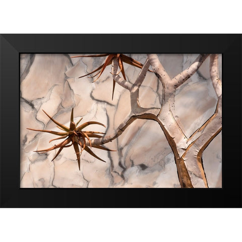 Africa-Namibia-Quiver tree and bark photo montage Black Modern Wood Framed Art Print by Jaynes Gallery