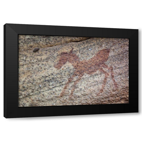 Rock art of zebra, Sevilla Trail, South Africa Black Modern Wood Framed Art Print by Kaveney, Wendy