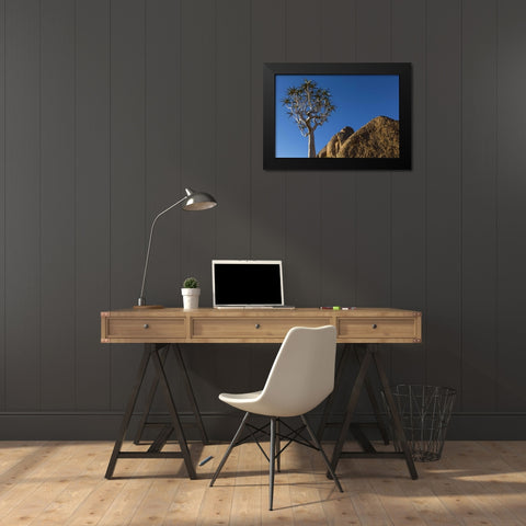 South Richtersveld NP Quiver tree and boulder Black Modern Wood Framed Art Print by Young, Bill