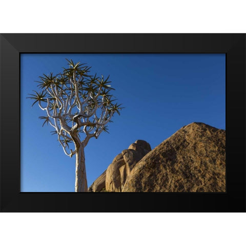 South Richtersveld NP Quiver tree and boulder Black Modern Wood Framed Art Print by Young, Bill
