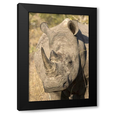 Hawaii Waves breaking on a black sand beach Black Modern Wood Framed Art Print with Double Matting by Zuckerman, Jim