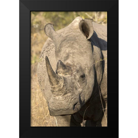 Hawaii Waves breaking on a black sand beach Black Modern Wood Framed Art Print by Zuckerman, Jim