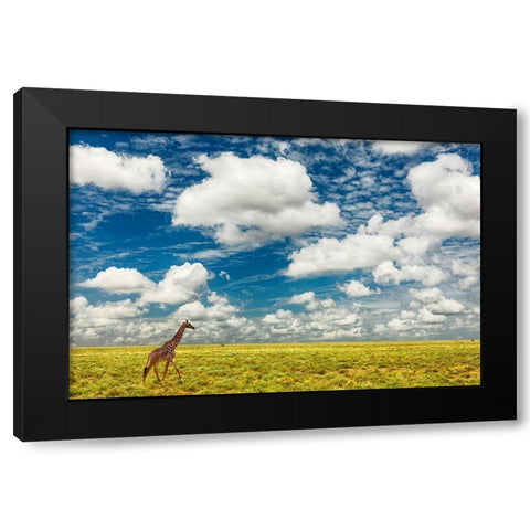 Masai Giraffe on open plains of Serengeti National Park-Tanzania-Africa-Giraffa Black Modern Wood Framed Art Print by Jones, Adam