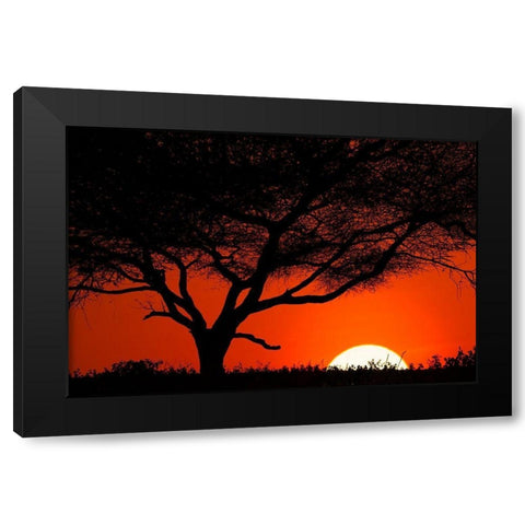 Tree silhouetted at sunset on the vast plains of Serengeti National Park-Tanzania-Africa Black Modern Wood Framed Art Print by Jones, Adam