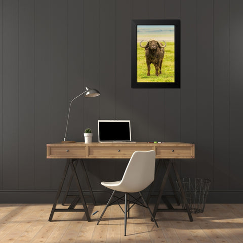 Africa-Tanzania-Ngorongoro Crater Cape buffalo close-up  Black Modern Wood Framed Art Print by Jaynes Gallery