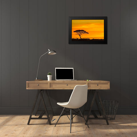 Africa-Tanzania-Serengeti National Park Acacia tree silhouette at sunset  Black Modern Wood Framed Art Print by Jaynes Gallery