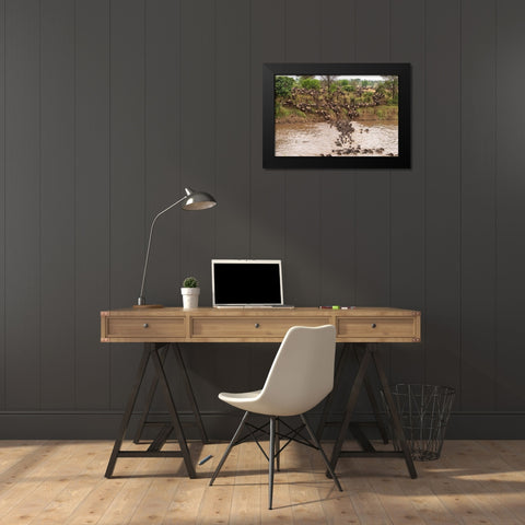 Africa-Tanzania-Serengeti National Park Wildebeests crossing Mara River  Black Modern Wood Framed Art Print by Jaynes Gallery
