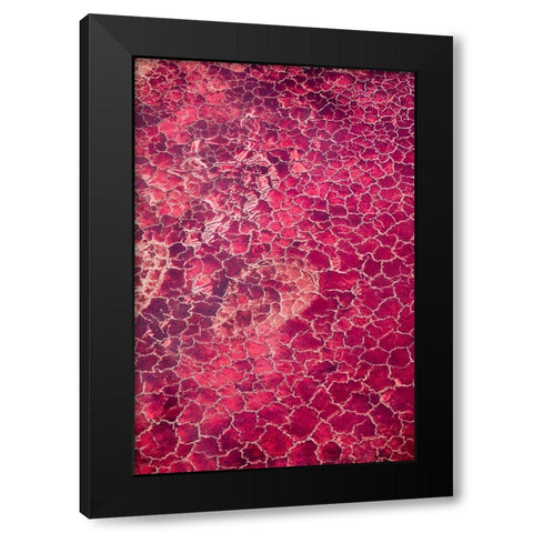 Africa-Tanzania-Aerial view of patterns of red algae and salt formations in shallow salt waters Black Modern Wood Framed Art Print with Double Matting by Souders, Paul