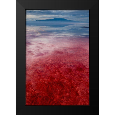 Africa-Tanzania-Enhanced contrast aerial view of patterns of red algae and salt formations  Black Modern Wood Framed Art Print by Souders, Paul