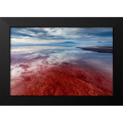 Africa-Tanzania-Enhanced contrast aerial view of patterns of red algae and salt formations Black Modern Wood Framed Art Print by Souders, Paul