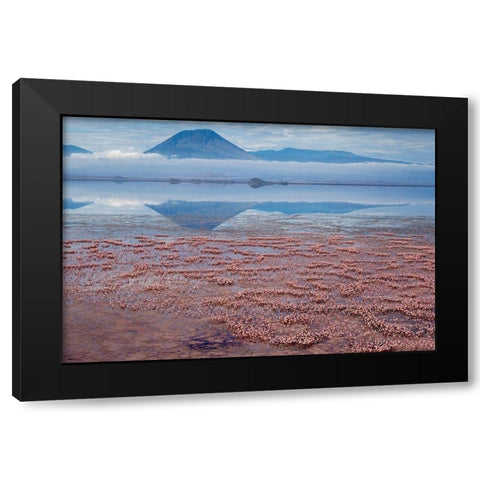 Africa-Tanzania-Aerial view of Ol Doinyo Lengai volcano looming above vast flock Black Modern Wood Framed Art Print with Double Matting by Souders, Paul