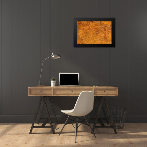 Africa-Tanzania-Aerial view of patterns of yellow algae and salt formations in shallow salt waters Black Modern Wood Framed Art Print by Souders, Paul