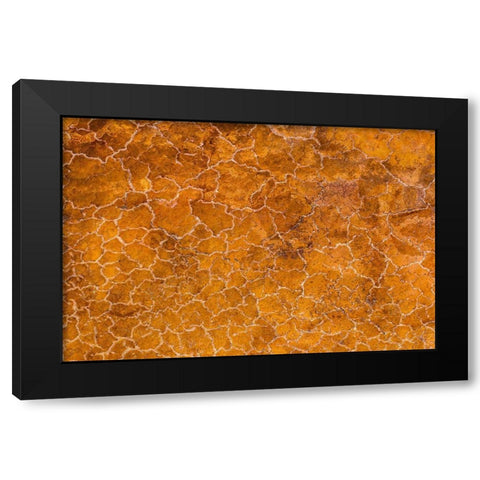 Africa-Tanzania-Aerial view of patterns of yellow algae and salt formations in shallow salt waters Black Modern Wood Framed Art Print with Double Matting by Souders, Paul