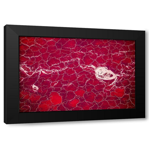 Africa-Tanzania-Aerial view of patterns of red algae and salt formations in shallow salt waters Black Modern Wood Framed Art Print with Double Matting by Souders, Paul