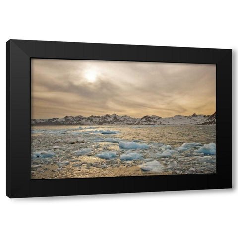 South Georgia Isl Sunset over water and sea ice Black Modern Wood Framed Art Print by Delisle, Gilles