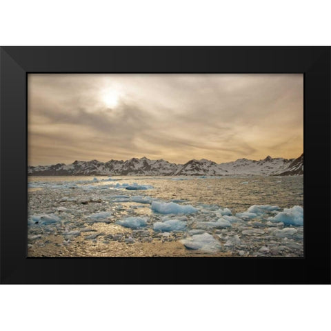 South Georgia Isl Sunset over water and sea ice Black Modern Wood Framed Art Print by Delisle, Gilles