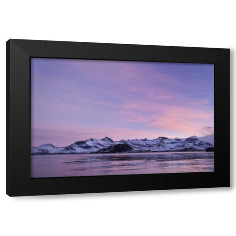 South Georgia Island, Leith Harbor Pink Sunrise Black Modern Wood Framed Art Print with Double Matting by Paulson, Don