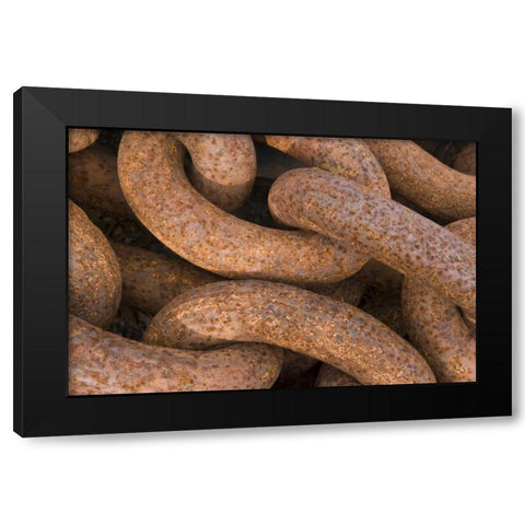 South Georgia Island, Grytviken Rusty chain Black Modern Wood Framed Art Print by Paulson, Don