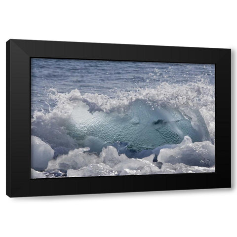South Georgia Isl, Wirik Bay Wave on the beach Black Modern Wood Framed Art Print by Paulson, Don