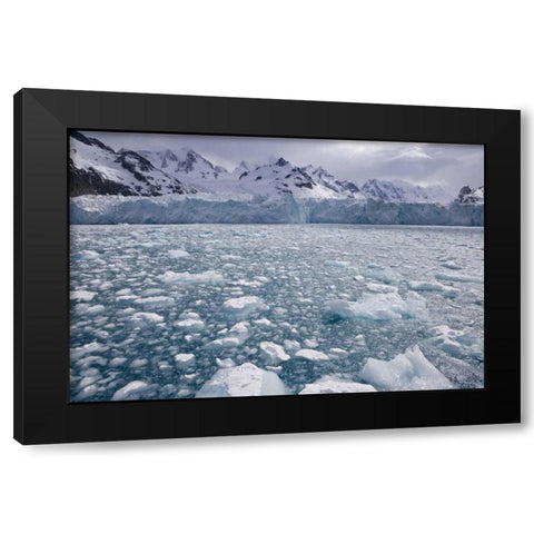 South Georgia Island, Iris Bay Herz Glacier Black Modern Wood Framed Art Print with Double Matting by Paulson, Don