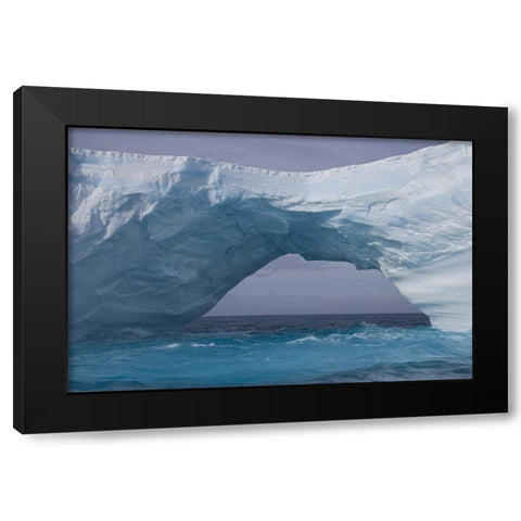 South Georgia Island, Iris Bay Iceberg bridge Black Modern Wood Framed Art Print by Paulson, Don