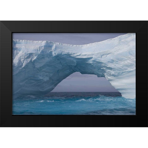 South Georgia Island, Iris Bay Iceberg bridge Black Modern Wood Framed Art Print by Paulson, Don