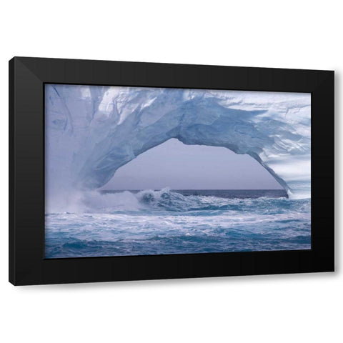 South Georgia Island Waves splash under iceberg Black Modern Wood Framed Art Print with Double Matting by Paulson, Don