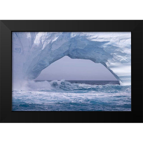 South Georgia Island Waves splash under iceberg Black Modern Wood Framed Art Print by Paulson, Don