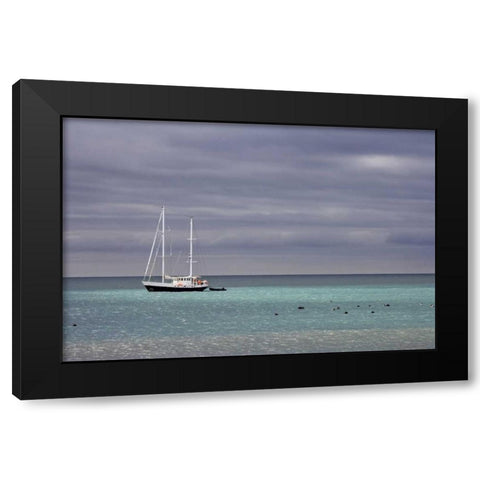 South Georgia Isl Sailing yacht anchored in bay Black Modern Wood Framed Art Print with Double Matting by Paulson, Don