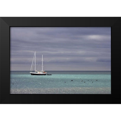 South Georgia Isl Sailing yacht anchored in bay Black Modern Wood Framed Art Print by Paulson, Don