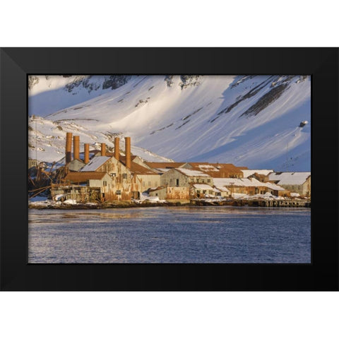 South Georgia Isl, Abandoned whaling station Black Modern Wood Framed Art Print by Paulson, Don