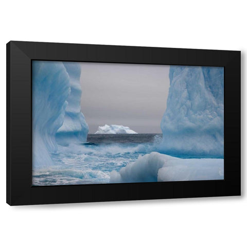 South Georgia Island Blue-tinged icebergs Black Modern Wood Framed Art Print with Double Matting by Paulson, Don